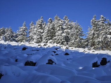 Bulgaristan 'ın Sofya Şehir Bölgesi, Vitosha Dağı' nın İnanılmaz Kış manzarası