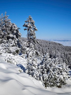 Bulgaristan 'ın Sofya Şehir Bölgesi, Vitosha Dağı' nın İnanılmaz Kış manzarası