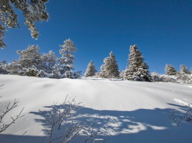 Bulgaristan 'ın Sofya Şehir Bölgesi, Vitosha Dağı' nın İnanılmaz Kış manzarası