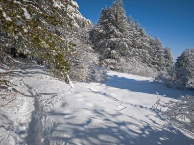 Bulgaristan 'ın Sofya Şehir Bölgesi, Vitosha Dağı' nın İnanılmaz Kış manzarası