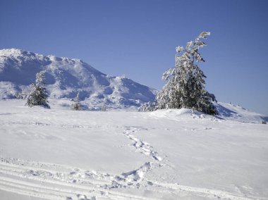 Bulgaristan 'ın Sofya Şehir Bölgesi, Vitosha Dağı' nın İnanılmaz Kış manzarası