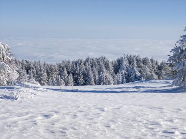 Bulgaristan 'ın Sofya Şehir Bölgesi, Vitosha Dağı' nın İnanılmaz Kış manzarası