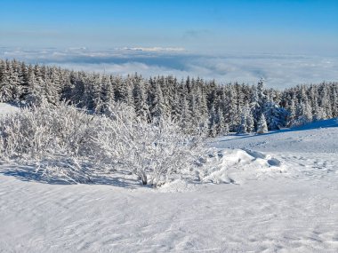 Bulgaristan 'ın Sofya Şehir Bölgesi, Vitosha Dağı' nın İnanılmaz Kış manzarası