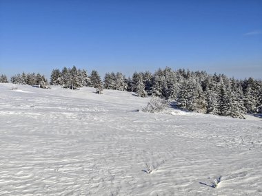 Bulgaristan 'ın Sofya Şehir Bölgesi, Vitosha Dağı' nın İnanılmaz Kış manzarası