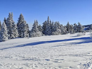 Bulgaristan 'ın Sofya Şehir Bölgesi, Vitosha Dağı' nın İnanılmaz Kış manzarası