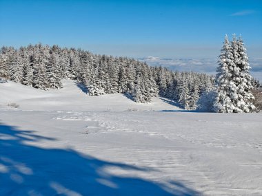 Bulgaristan 'ın Sofya Şehir Bölgesi, Vitosha Dağı' nın İnanılmaz Kış manzarası