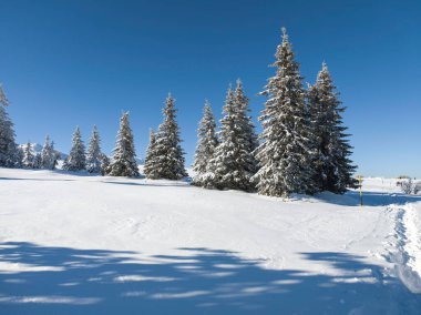 Bulgaristan 'ın Sofya Şehir Bölgesi, Vitosha Dağı' nın İnanılmaz Kış manzarası