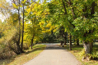 Bulgaristan 'ın Sofya kentindeki South Park' ın Muhteşem Sonbahar Manzarası