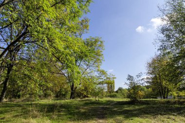 Bulgaristan 'ın Sofya kentindeki South Park' ın Muhteşem Sonbahar Manzarası