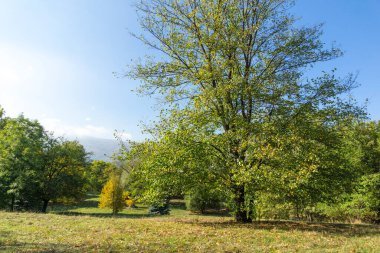 Bulgaristan 'ın Sofya kentindeki South Park' ın Muhteşem Sonbahar Manzarası