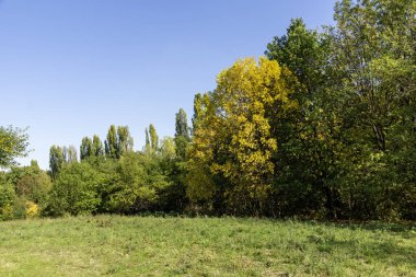 Bulgaristan 'ın Sofya kentindeki South Park' ın Muhteşem Sonbahar Manzarası