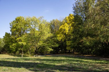 Bulgaristan 'ın Sofya kentindeki South Park' ın Muhteşem Sonbahar Manzarası