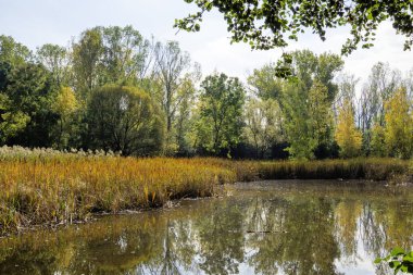 Bulgaristan 'ın Sofya kentindeki South Park' ın Muhteşem Sonbahar Manzarası