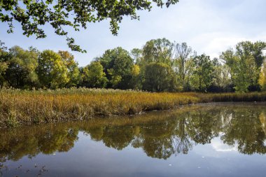 Bulgaristan 'ın Sofya kentindeki South Park' ın Muhteşem Sonbahar Manzarası