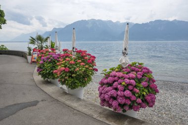 VEVEY, SWitzERLAND - 19 Haziran 2023: Vevey, Vaud Kantonu, İsviçre