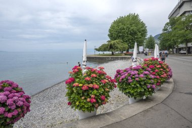 VEVEY, SWitzERLAND - 19 Haziran 2023: Vevey, Vaud Kantonu, İsviçre