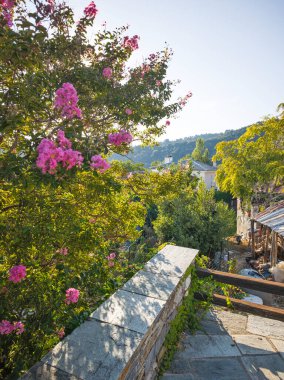Pelion Dağı, Thessaly, Yunanistan 'da Vizitsa Köyü