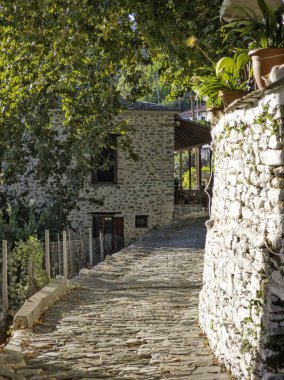 Pelion Dağı, Thessaly, Yunanistan 'da Vizitsa Köyü
