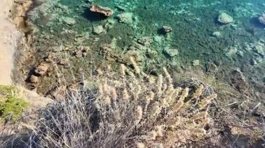 Skiathos Town, Sporades, Thessaly, Yunanistan 'ın inanılmaz kıyı şeridi manzarası