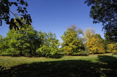 Bulgaristan 'ın Sofya kentindeki South Park' ın Muhteşem Sonbahar Manzarası