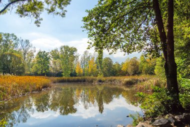 Bulgaristan 'ın Sofya kentindeki South Park' ın Muhteşem Sonbahar Manzarası