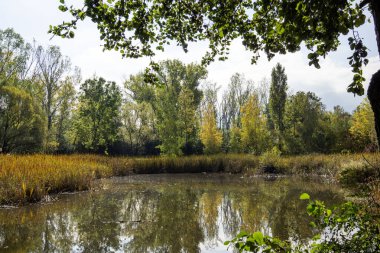 Bulgaristan 'ın Sofya kentindeki South Park' ın Muhteşem Sonbahar Manzarası