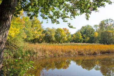 Bulgaristan 'ın Sofya kentindeki South Park' ın Muhteşem Sonbahar Manzarası