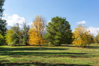 Bulgaristan 'ın Sofya kentindeki South Park' ın Muhteşem Sonbahar Manzarası