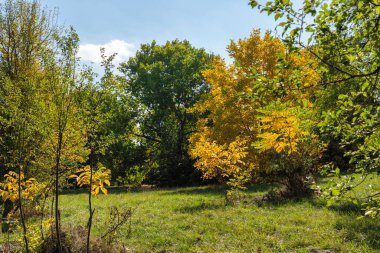 Bulgaristan 'ın Sofya kentindeki South Park' ın Muhteşem Sonbahar Manzarası