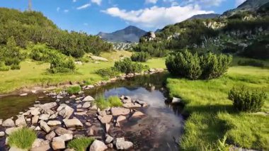Bulgaristan 'ın Banderitsa bölgesindeki Pirin Dağı' nın şaşırtıcı yaz manzarası