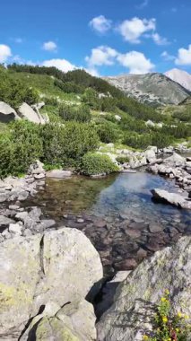 Bulgaristan 'ın Banderitsa bölgesindeki Pirin Dağı' nın şaşırtıcı yaz manzarası