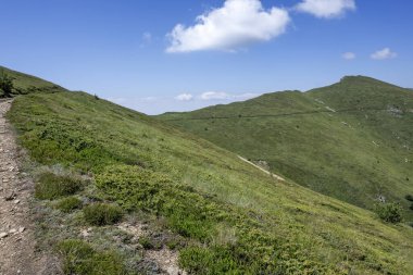 Bulgaristan 'ın Blagoevgrad bölgesinin Kongur tepesi çevresindeki Belasitsa Dağı yaz manzarası