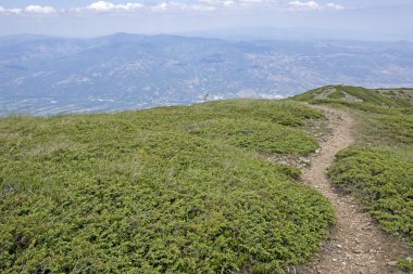 Bulgaristan 'ın Blagoevgrad bölgesinin Kongur tepesi çevresindeki Belasitsa Dağı yaz manzarası