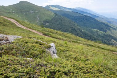 Bulgaristan 'ın Blagoevgrad bölgesinin Kongur tepesi çevresindeki Belasitsa Dağı yaz manzarası