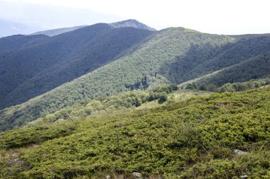 Bulgaristan 'ın Blagoevgrad bölgesinin Kongur tepesi çevresindeki Belasitsa Dağı yaz manzarası