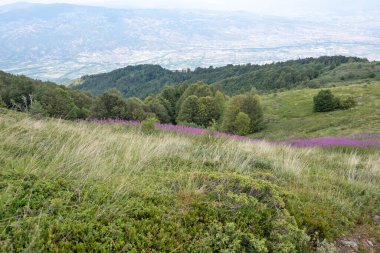 Bulgaristan 'ın Blagoevgrad bölgesinin Kongur tepesi çevresindeki Belasitsa Dağı yaz manzarası