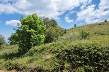 Bulgaristan 'ın Blagoevgrad bölgesinin Kongur tepesi çevresindeki Belasitsa Dağı yaz manzarası