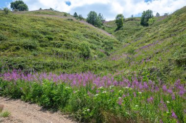 Bulgaristan 'ın Blagoevgrad bölgesinin Kongur tepesi çevresindeki Belasitsa Dağı yaz manzarası