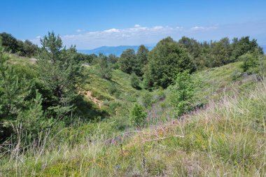 Bulgaristan 'ın Blagoevgrad bölgesinin Kongur tepesi çevresindeki Belasitsa Dağı yaz manzarası