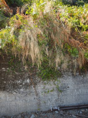 Yunanistan 'ın Pelion Dağı' ndaki Makrirrachi Köyü 'nün inanılmaz manzarası