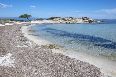 Karydi Sahili yakınlarındaki Sithonia kıyı şeridi, Chalkidiki, Orta Makedonya, Yunanistan