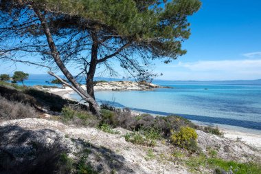 Karydi Sahili yakınlarındaki Sithonia kıyı şeridi, Chalkidiki, Orta Makedonya, Yunanistan