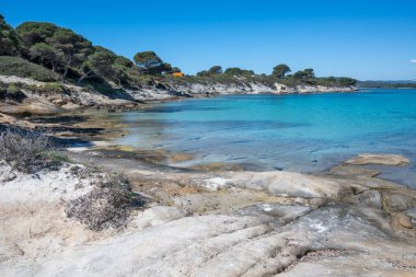 Karydi Sahili yakınlarındaki Sithonia kıyı şeridi, Chalkidiki, Orta Makedonya, Yunanistan