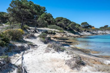 Karydi Sahili yakınlarındaki Sithonia kıyı şeridi, Chalkidiki, Orta Makedonya, Yunanistan