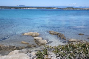 Karydi Sahili yakınlarındaki Sithonia kıyı şeridi, Chalkidiki, Orta Makedonya, Yunanistan