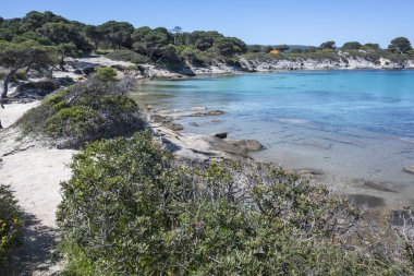 Karydi Sahili yakınlarındaki Sithonia kıyı şeridi, Chalkidiki, Orta Makedonya, Yunanistan