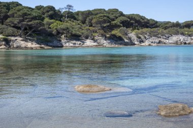 Karydi Sahili yakınlarındaki Sithonia kıyı şeridi, Chalkidiki, Orta Makedonya, Yunanistan