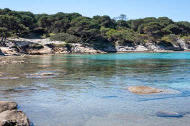 Karydi Sahili yakınlarındaki Sithonia kıyı şeridi, Chalkidiki, Orta Makedonya, Yunanistan
