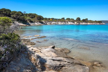 Karydi Sahili yakınlarındaki Sithonia kıyı şeridi, Chalkidiki, Orta Makedonya, Yunanistan