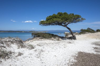 Karydi Sahili yakınlarındaki Sithonia kıyı şeridi, Chalkidiki, Orta Makedonya, Yunanistan